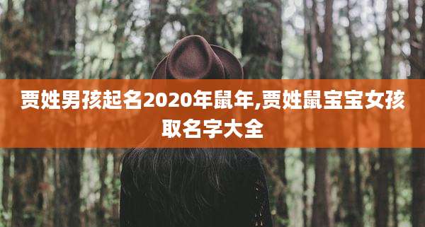 贾姓男孩起名2020年鼠年,贾姓鼠宝宝女孩取名字大全