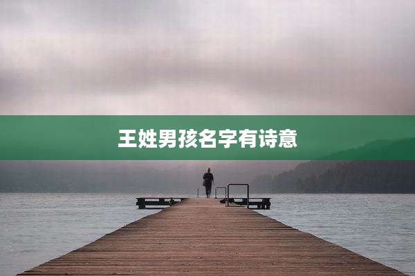 王姓男孩名字有诗意