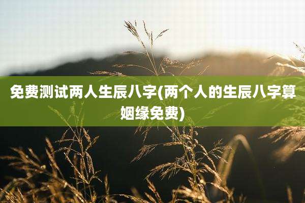 免费测试两人生辰八字(两个人的生辰八字算姻缘免费)