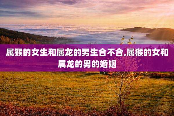属猴的女生和属龙的男生合不合,属猴的女和属龙的男的婚姻