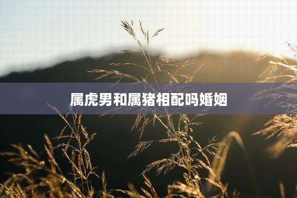 属虎男和属猪相配吗婚姻