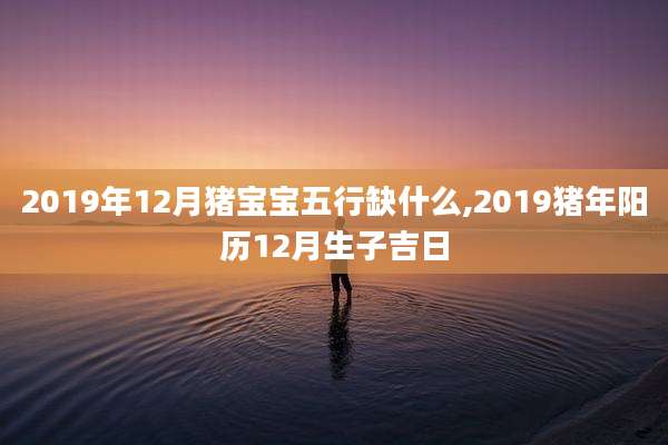 2019年12月猪宝宝五行缺什么,2019猪年阳历12月生子吉日