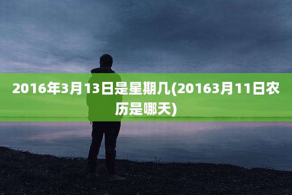 2016年3月13日是星期几(20163月11日农历是哪天)