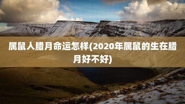 属鼠人腊月命运怎样(2020年属鼠的生在腊月好不好)