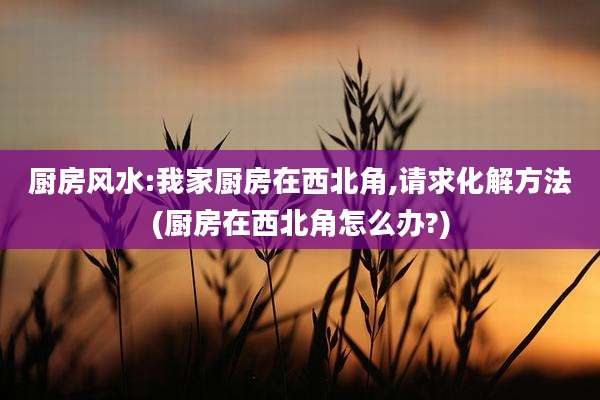 厨房风水:我家厨房在西北角,请求化解方法(厨房在西北角怎么办?)