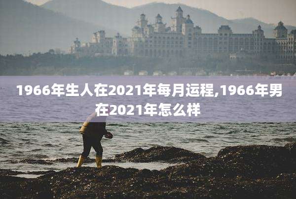1966年生人在2021年每月运程,1966年男在2021年怎么样