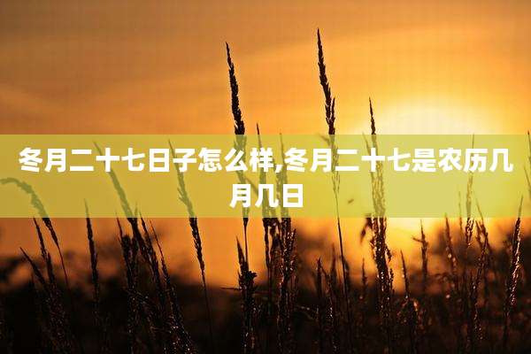 冬月二十七日子怎么样,冬月二十七是农历几月几日
