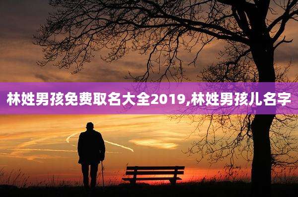 林姓男孩免费取名大全2019,林姓男孩儿名字