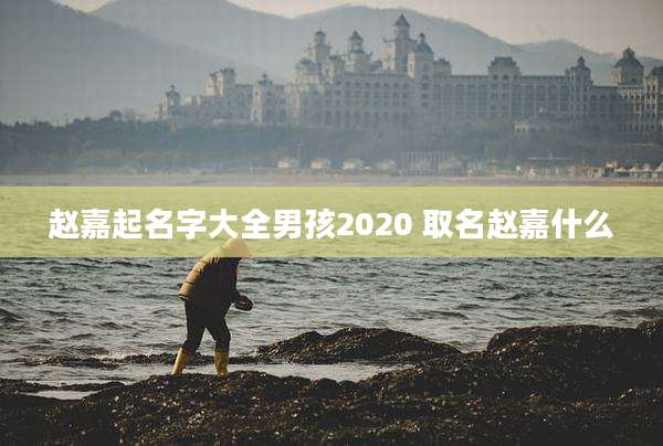 赵嘉起名字大全男孩2020 取名赵嘉什么