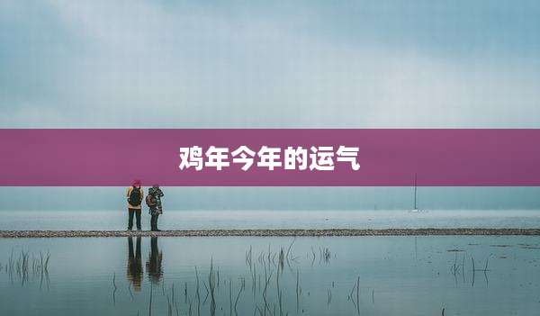 鸡年今年的运气