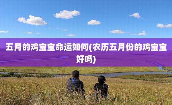 五月的鸡宝宝命运如何(农历五月份的鸡宝宝好吗)