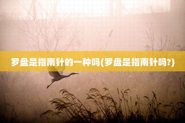 罗盘是指南针的一种吗(罗盘是指南针吗?)