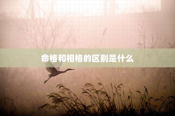 命格和相格的区别是什么