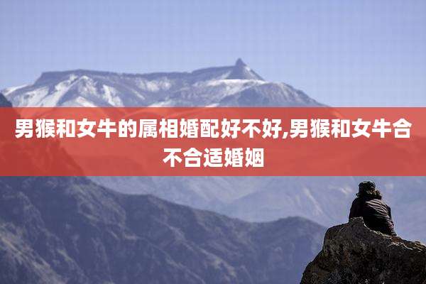 男猴和女牛的属相婚配好不好,男猴和女牛合不合适婚姻