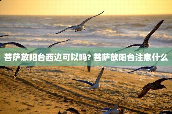 菩萨放阳台西边可以吗? 菩萨放阳台注意什么