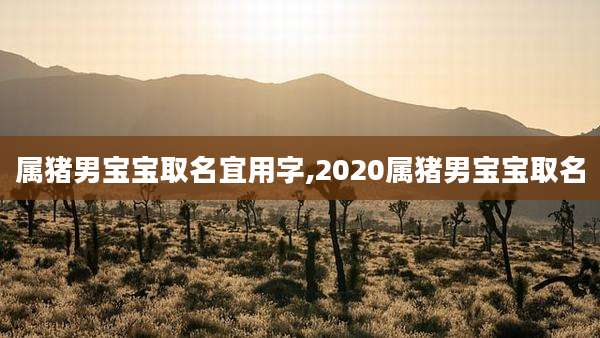 属猪男宝宝取名宜用字,2020属猪男宝宝取名