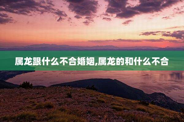 属龙跟什么不合婚姻,属龙的和什么不合