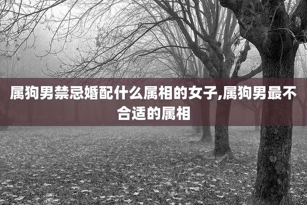 属狗男禁忌婚配什么属相的女子,属狗男最不合适的属相