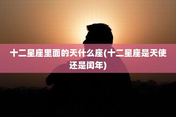 十二星座里面的天什么座(十二星座是天使还是闰年)