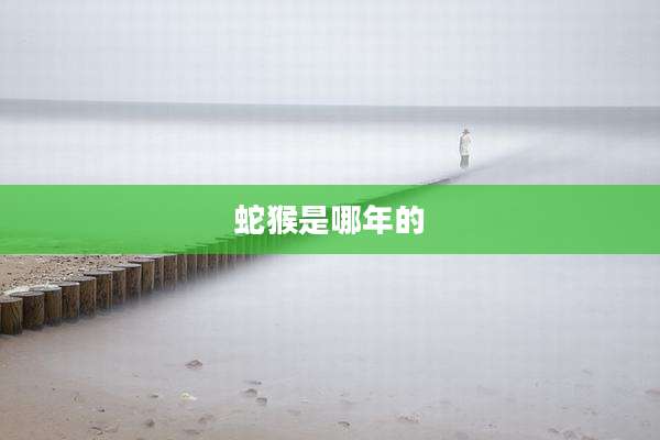 蛇猴是哪年的