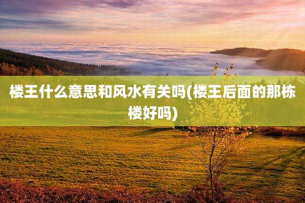 楼王什么意思和风水有关吗(楼王后面的那栋楼好吗)