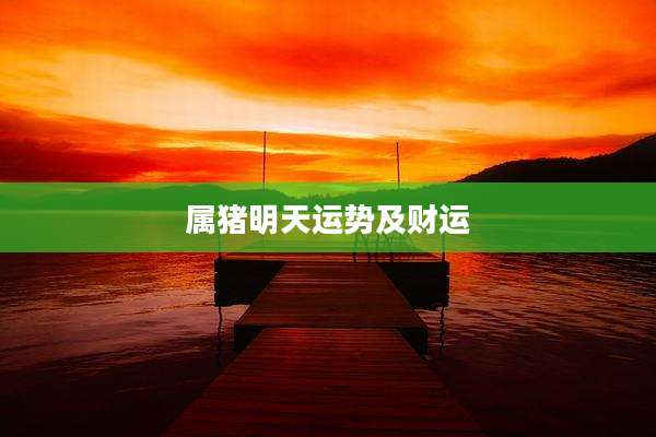 属猪明天运势及财运