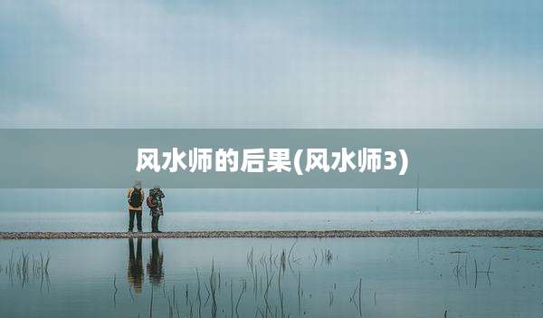 风水师的后果(风水师3)