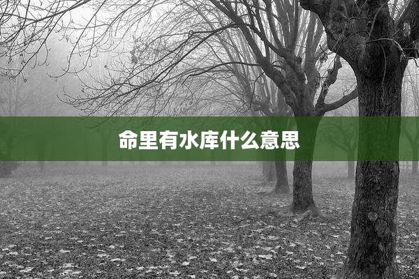 命里有水库什么意思