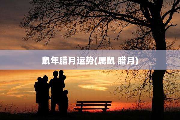 鼠年腊月运势(属鼠 腊月)