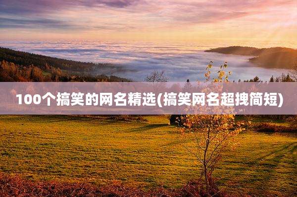 100个搞笑的网名精选(搞笑网名超拽简短)