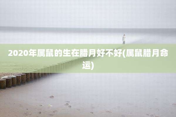 2020年属鼠的生在腊月好不好(属鼠腊月命运)