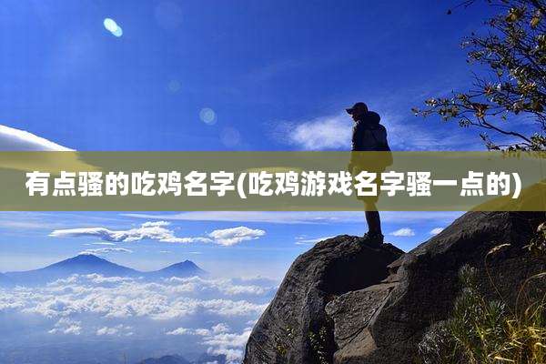 有点骚的吃鸡名字(吃鸡游戏名字骚一点的)