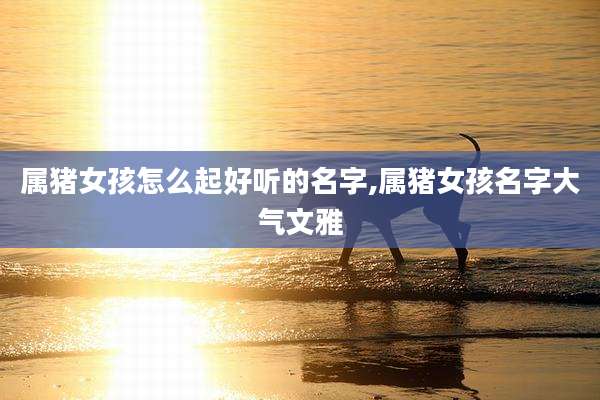属猪女孩怎么起好听的名字,属猪女孩名字大气文雅