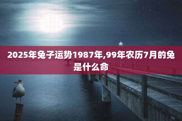 2025年兔子运势1987年,99年农历7月的兔是什么命