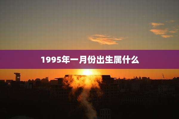 1995年一月份出生属什么