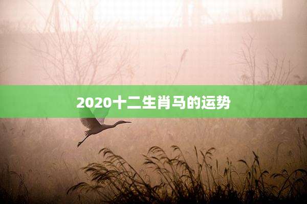2020十二生肖马的运势