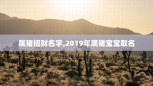 属猪招财名字,2019年属猪宝宝取名