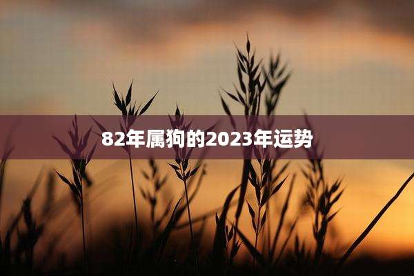 82年属狗的2023年运势