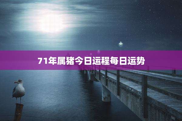 71年属猪今日运程每日运势