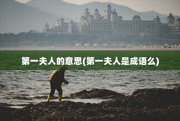 第一夫人的意思(第一夫人是成语么)