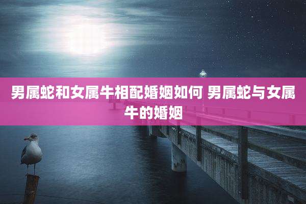男属蛇和女属牛相配婚姻如何 男属蛇与女属牛的婚姻