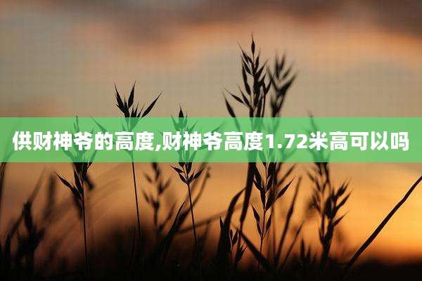 供财神爷的高度,财神爷高度1.72米高可以吗