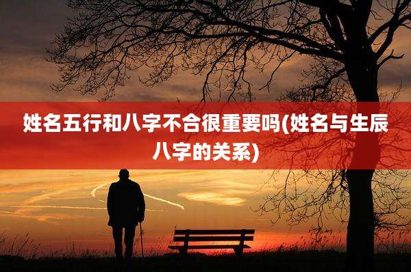 姓名五行和八字不合很重要吗(姓名与生辰八字的关系)