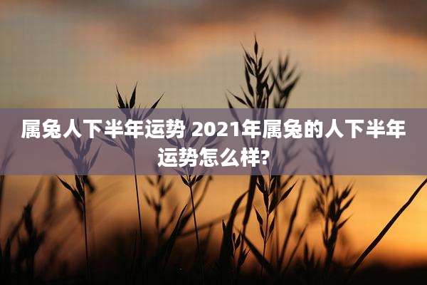 属兔人下半年运势 2021年属兔的人下半年运势怎么样?