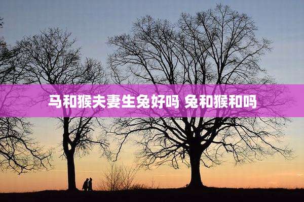 马和猴夫妻生兔好吗 兔和猴和吗