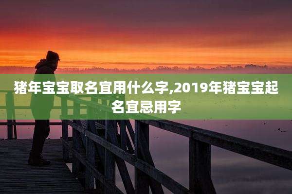 猪年宝宝取名宜用什么字,2019年猪宝宝起名宜忌用字