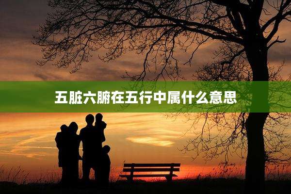 五脏六腑在五行中属什么意思