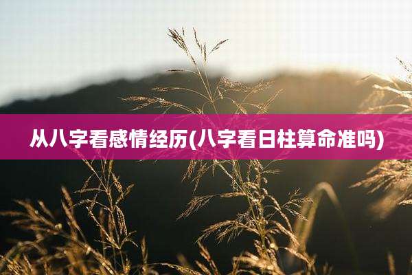 从八字看感情经历(八字看日柱算命准吗)