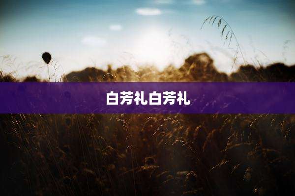 白芳礼白芳礼