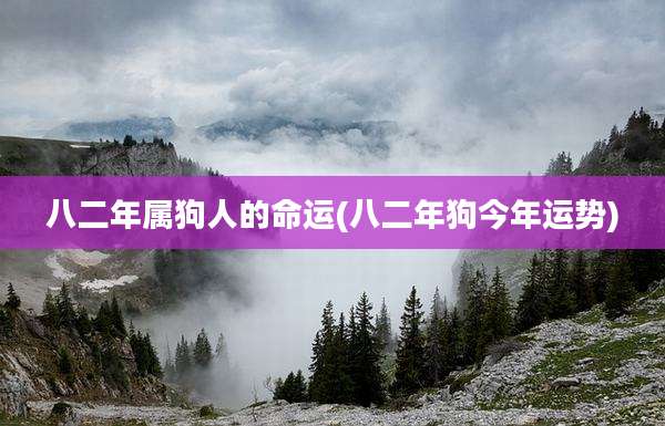 八二年属狗人的命运(八二年狗今年运势)
